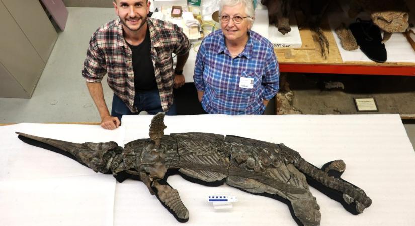 Hihetetlen állapotú, 190 millió éves tengeri őshüllőt találtak