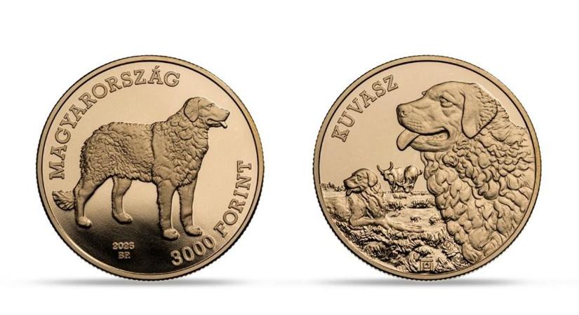 Újra sláger befektetések az érmék