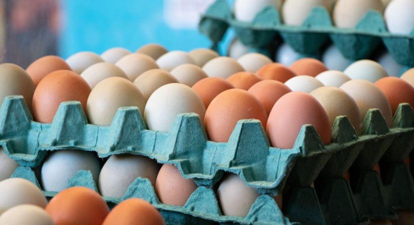 Tojás a konyhában: biztonságos tárolás lépésről lépésre
