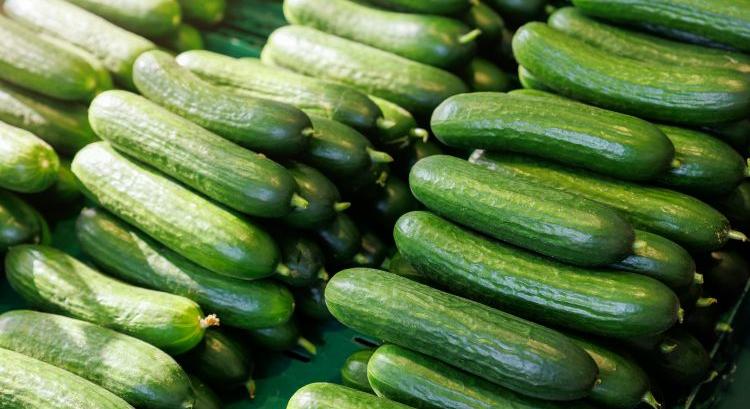 Ehető zöldségcsomagolás, ami a szántón is új dimenziót nyit