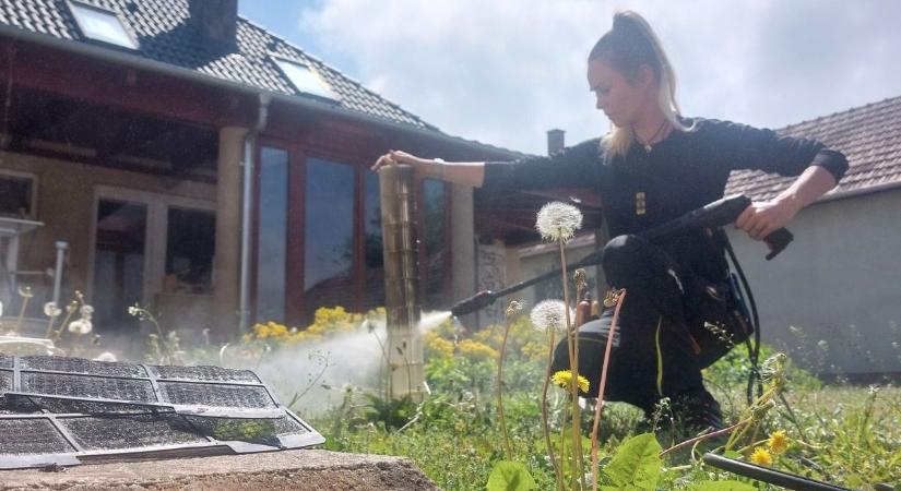 Végzetes hibát követhet el, aki így tisztítja a klímáját – a kecskeméti szakember figyelmeztet