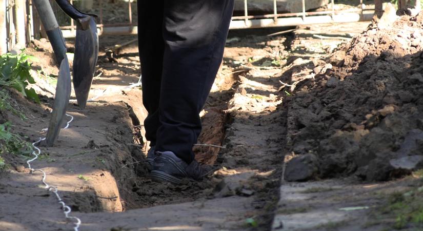 Újabb felújítás kezdődik – továbbra is várja támogatói segítségét a menhely