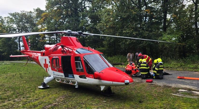 Súlyos munkabaleset: helikopter vitte kórházba a sérült favágót