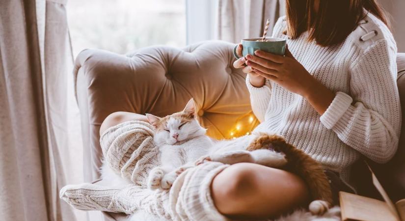 Októberi bekuckózás – amikor lelassul a világ