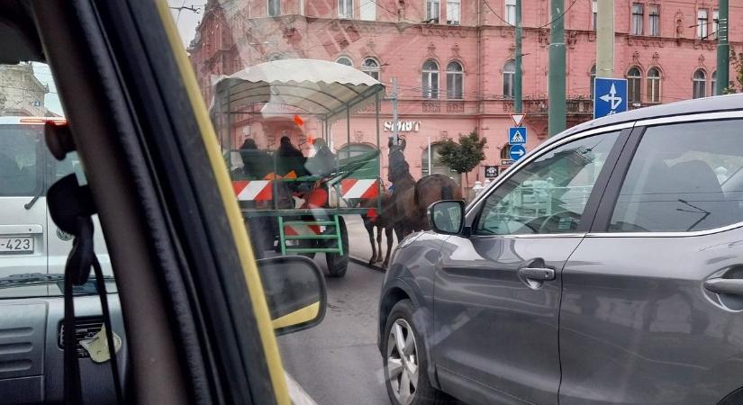Ilyen van? Lovaskocsi akadályozta a forgalmat Szegeden, még a mentőt sem engedték el