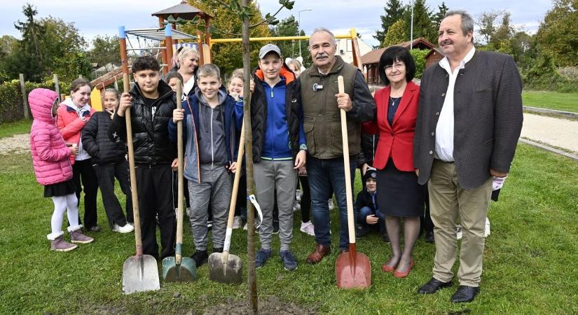 A Településfásítási Program őszi ültetési időszaka Dunakilitin rajtolt el - fotók, videó