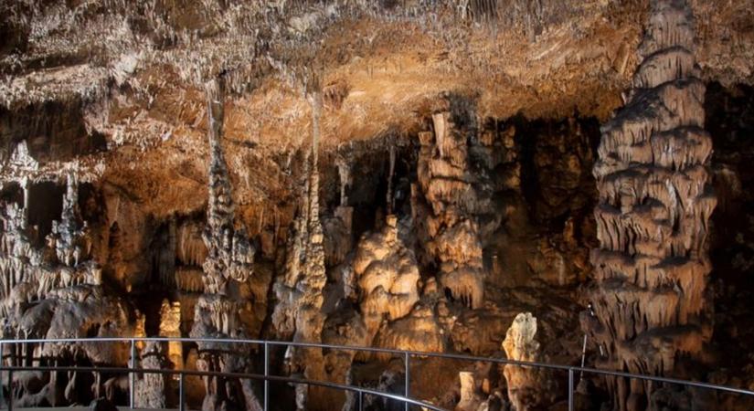 Felkapott lett a geoturizmus: ezek a denevérek tudnak valamit