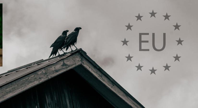 Gratulálunk Brüsszelnek! Így kell tönkretenni egy kontinenst