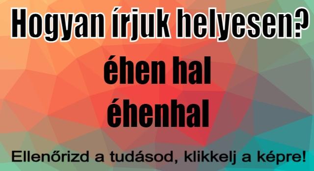 Napi helyesírás feladat: Tudod hogyan írjuk helyesen?