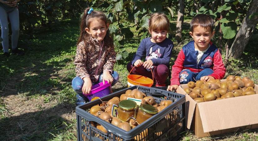 Nem csak a szőlőben érdemes szüretelni ezen a hétvégén