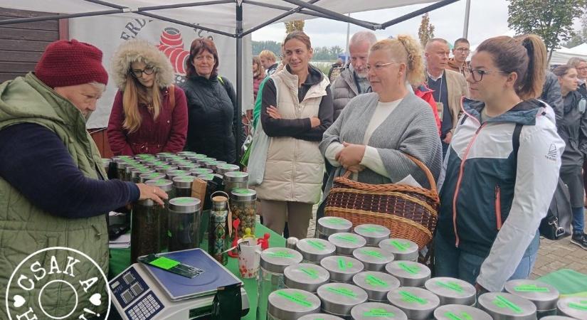 A vásárlás mellé élményt is adnak a Hóci piacon