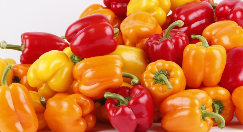 Hollandia: jó termés, gyengébb árak jellemezték az idei paprikaszezont