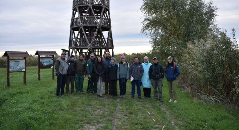 Hortobágyról az Őrségbe költöztek a vadlovak – új otthonra leltek a Przewalski-mének