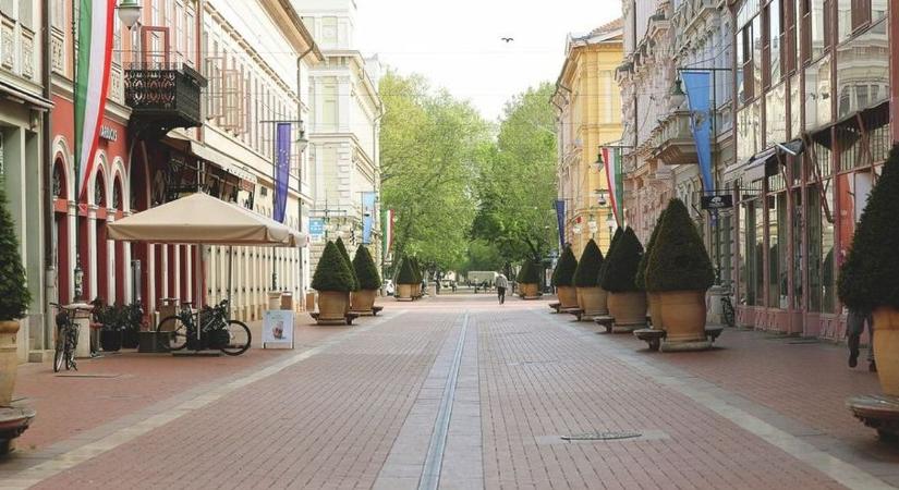 Nem mindennapi vendég tűnt fel a Kárász utcán, fotó is készült róla