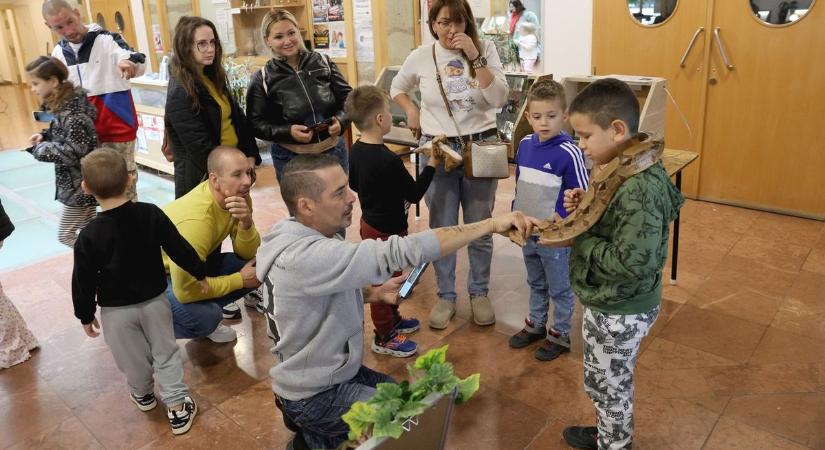 Egy hatalmas és veszélyes állat is feltűnt Diósgyőrben - fotók, videó