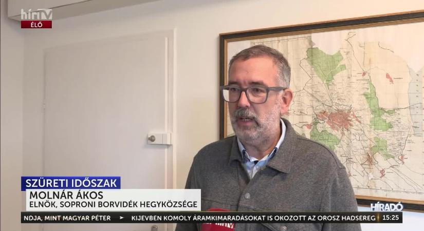 A végéhez közeledik a szüret a Soproni borvidéken  videó