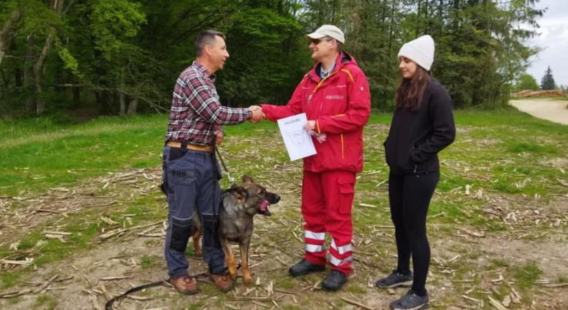 A dányi kislány megkerülése: egy történet a közösség erejéről