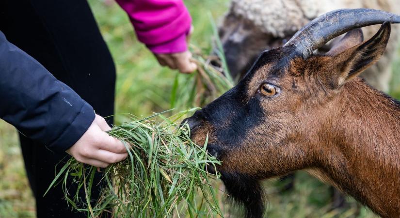 Fotókon a tökéletes őszi program a Gerecse kincsei között