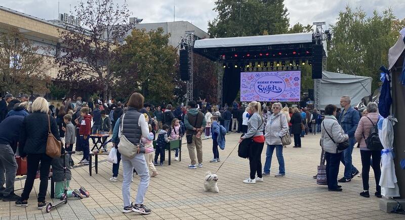 Három nap halas ízekkel és zenével