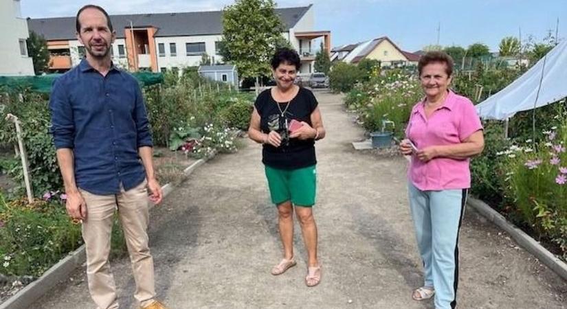 Ezek lettek idén Kecskemét legszebb konyhakertjei – fotók