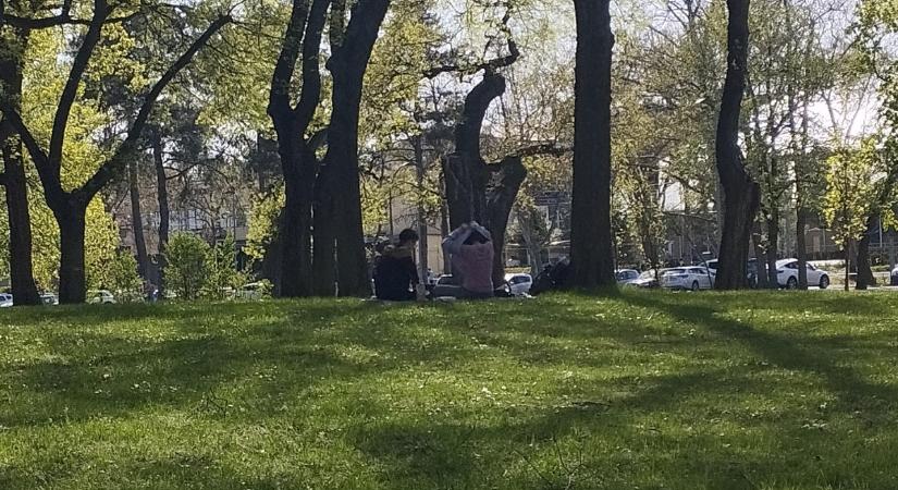 Irodalmi barangolás a Nagyerdőn – játékra hívják a debrecenieket