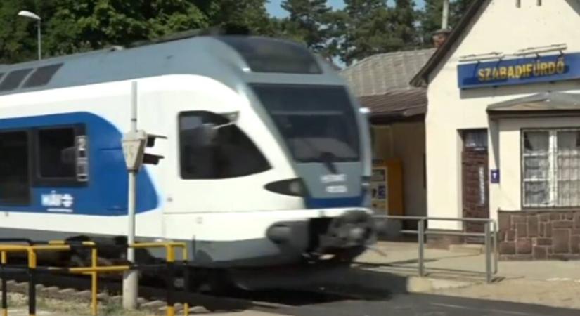Vasárnapi leállás a MÁV-nál – szegényembert még az ág is húzza