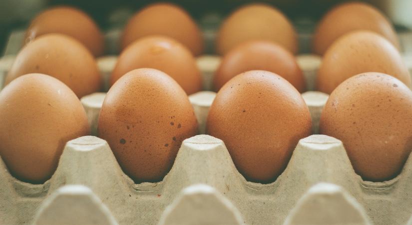 Így kezeld biztonságosan a tojást otthon, a Nébih legfontosabb tanácsai