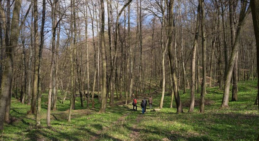Bakancsot elő! 51 titokzatos úti cél a Balaton-felvidéken, amit kevesen ismernek