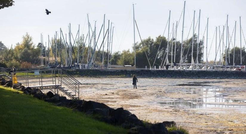 Veszélyben a Balaton? – A mesterséges intelligencia elárulja a választ