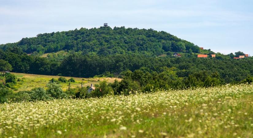 51 titokzatos úti cél a Balaton-felvidéken, amit kevesen ismernek (veol.hu)