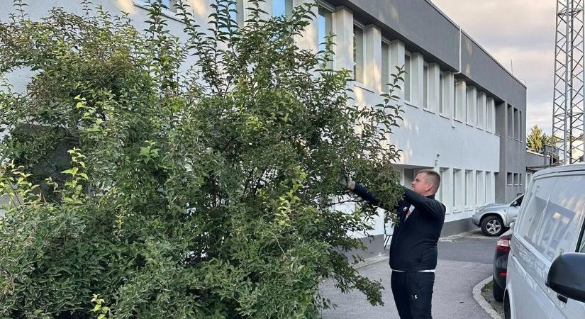 A megújult épülethez méltó külső tér dukál - így telt a Kaposvári Mentőállomás napja