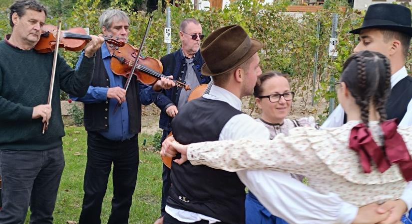 Az újbort ünnepelték az adonyiak (galériával és videóval)