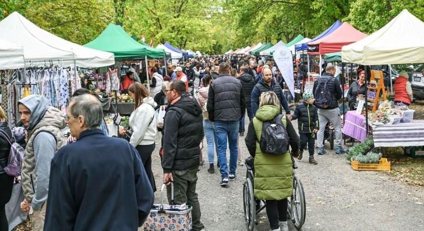 Megtelt a Völgy piac, rég volt ekkora forgalom termelői piacon (galéria)