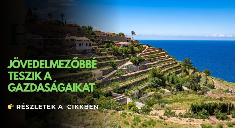 Óriási lehetőséget kaphatnak a gazdák ezen a szigeten