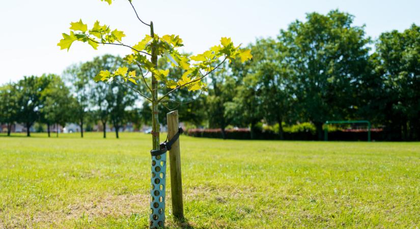 Olyan gond van, amelynek szörnyű hatása van sok termelő életére