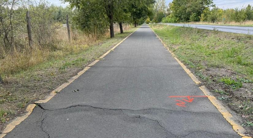 Helyreállítják a népszerű bajai kerékpárutat, hetekig tartó lezárásokra kell készülni