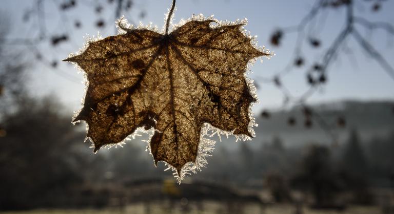 Lehűlés érkezik jövő héten, visszatérnek az éjszakai fagyok