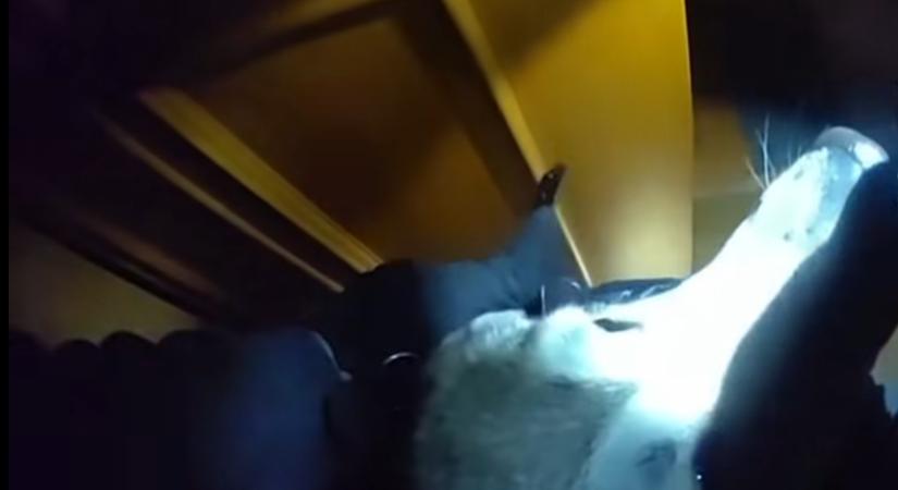 Zárlat okozhatta a tüzet, rendőrök mentették ki a házaspárt és kutyájukat a lángoló házból (VIDEÓ)