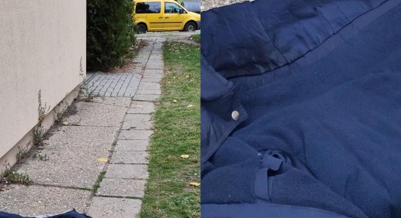 Ott hevert az Északi körúton – egy nő nem sétált el mellette, mint sokan mások! (fotókkal)