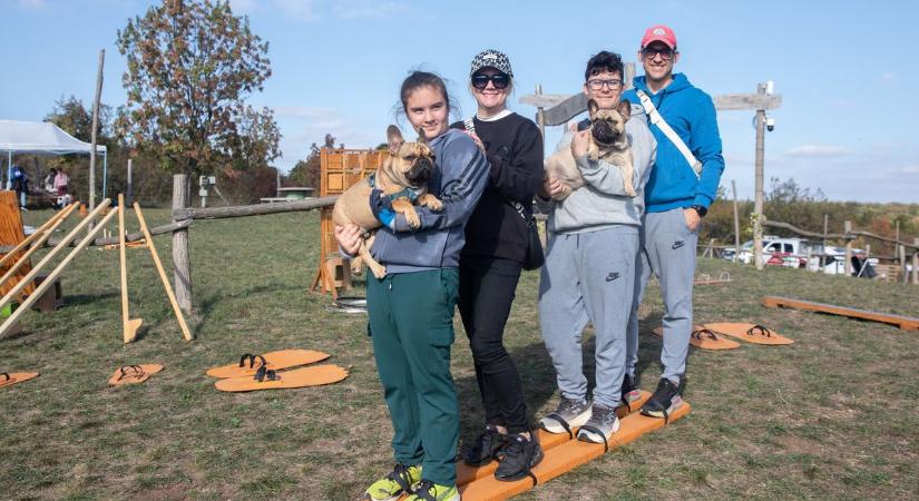 Így telt az I. Kutyás Fesztivál a Poccában ( galéria)