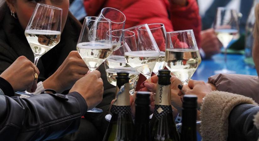 Gasztroünnep a Balatonnál: ilyen volt az idei Füge Fesztivál ( galéria)
