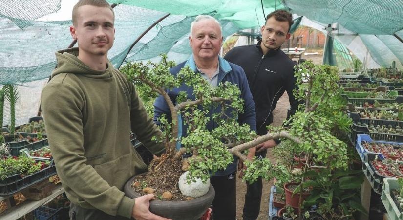 Bonsai nevelés egy profitól és a híres Lidl akció – tartalmas volt a nap