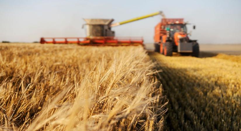 Déli szomszédunk is szenved a klímaváltozás miatt - de a búzával még így is sikereket érnek el a nemzetközi piacon is