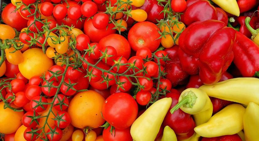 Paprika és paradicsom teleltetése termő növényként: megéri vagy csak divat?