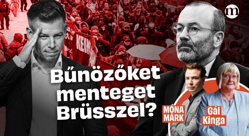 Brüsszel antifa terroristákat is megment Magyar Péter mentelmi jogáért – Gál Kinga Strasbourgból