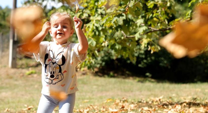 Őszi csoda: ilyen szép időt ígérnek Baranyában