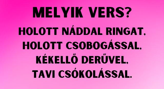 Napi irodalom feladat: Felismered a verset?