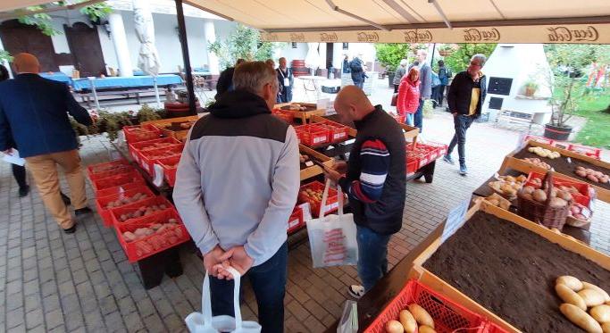 Visszaesés, de sikerrecept is van a burgonyaágazatban