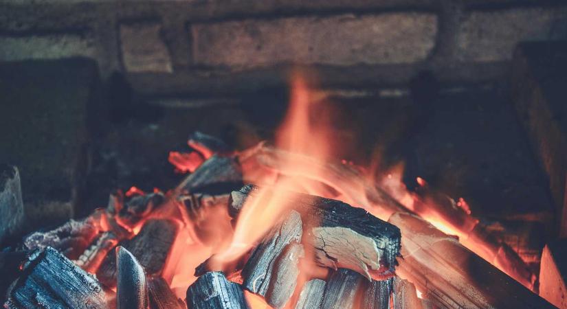 Tűzbe vetette az élő kiscicát – Viselnie kell a kegyetlen tett következményeit