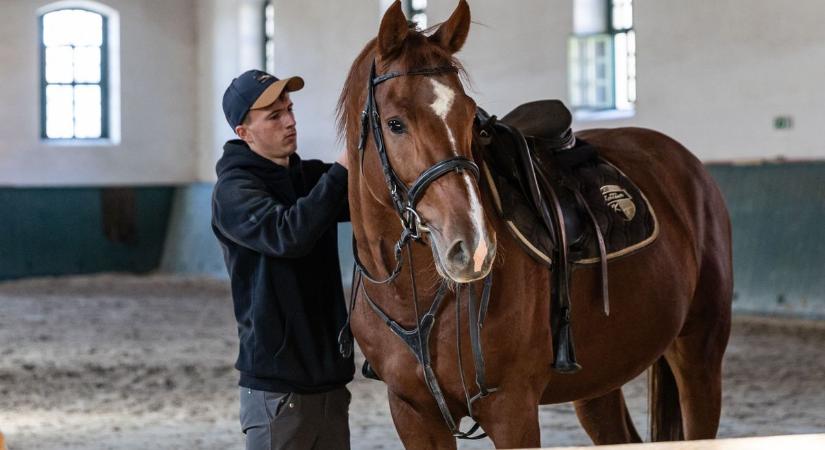 Folytatódnak a felújítások Kisbéren: a lovarda épületei tovább szépülnek